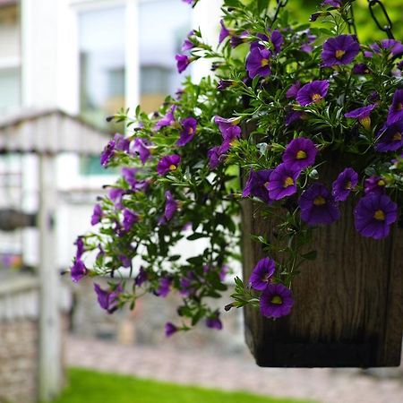 Adomo Rojus Apartment Palanga Bagian luar foto