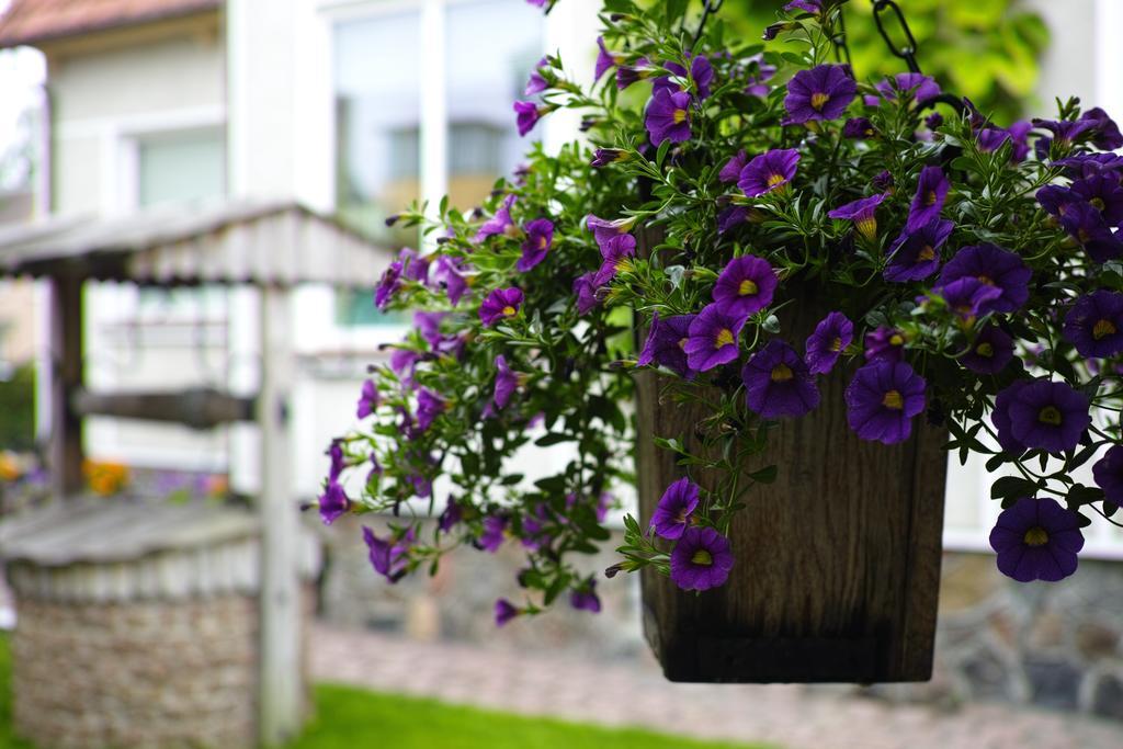 Adomo Rojus Apartment Palanga Bagian luar foto